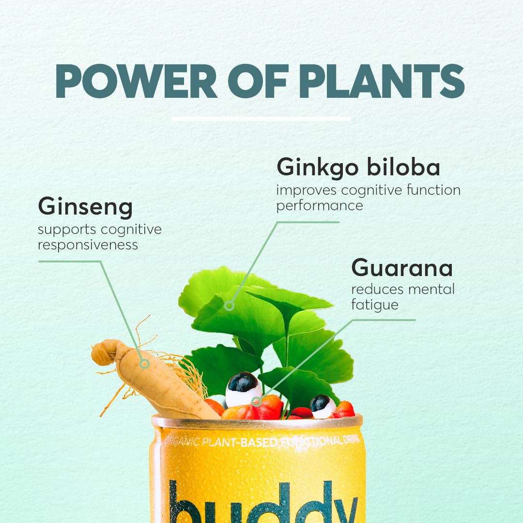 Buddy – Boisson énergisante naturelle et bio