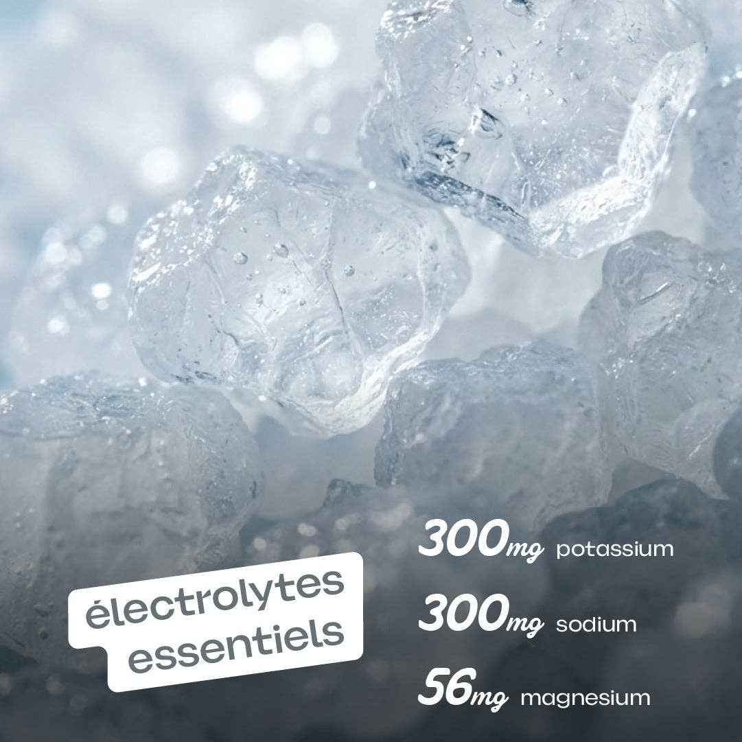 BUDDY | Boisson aux électrolytes | Pêche